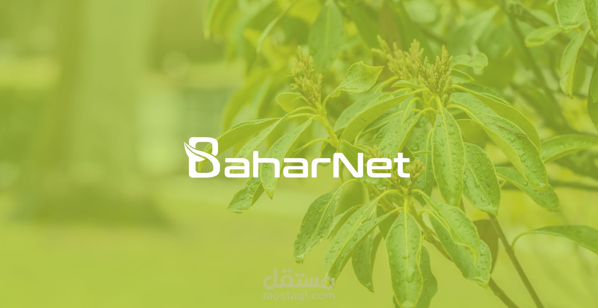 Bahar Net