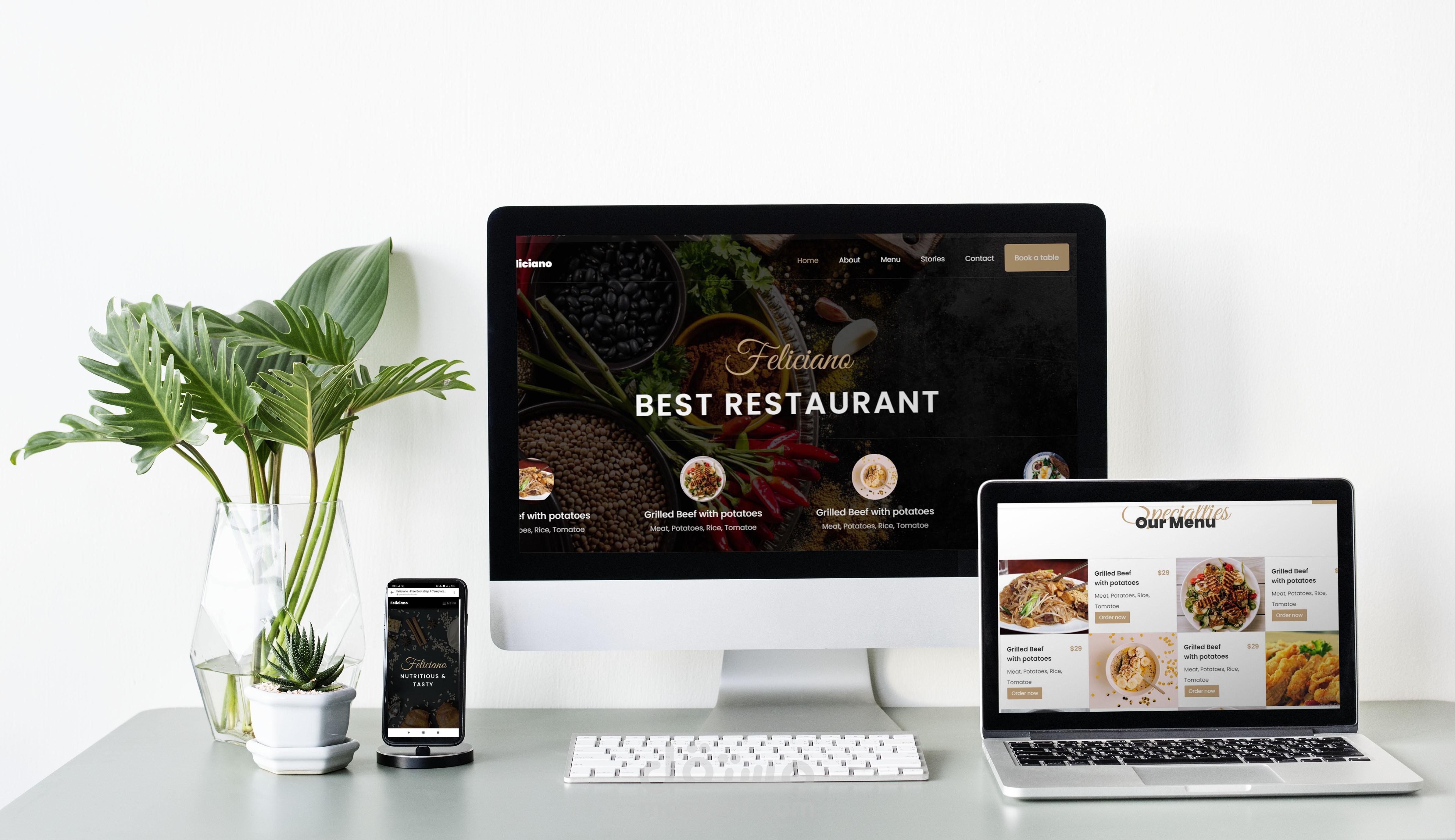 موقع للوجبات الصحية مصمم على الووردبريس