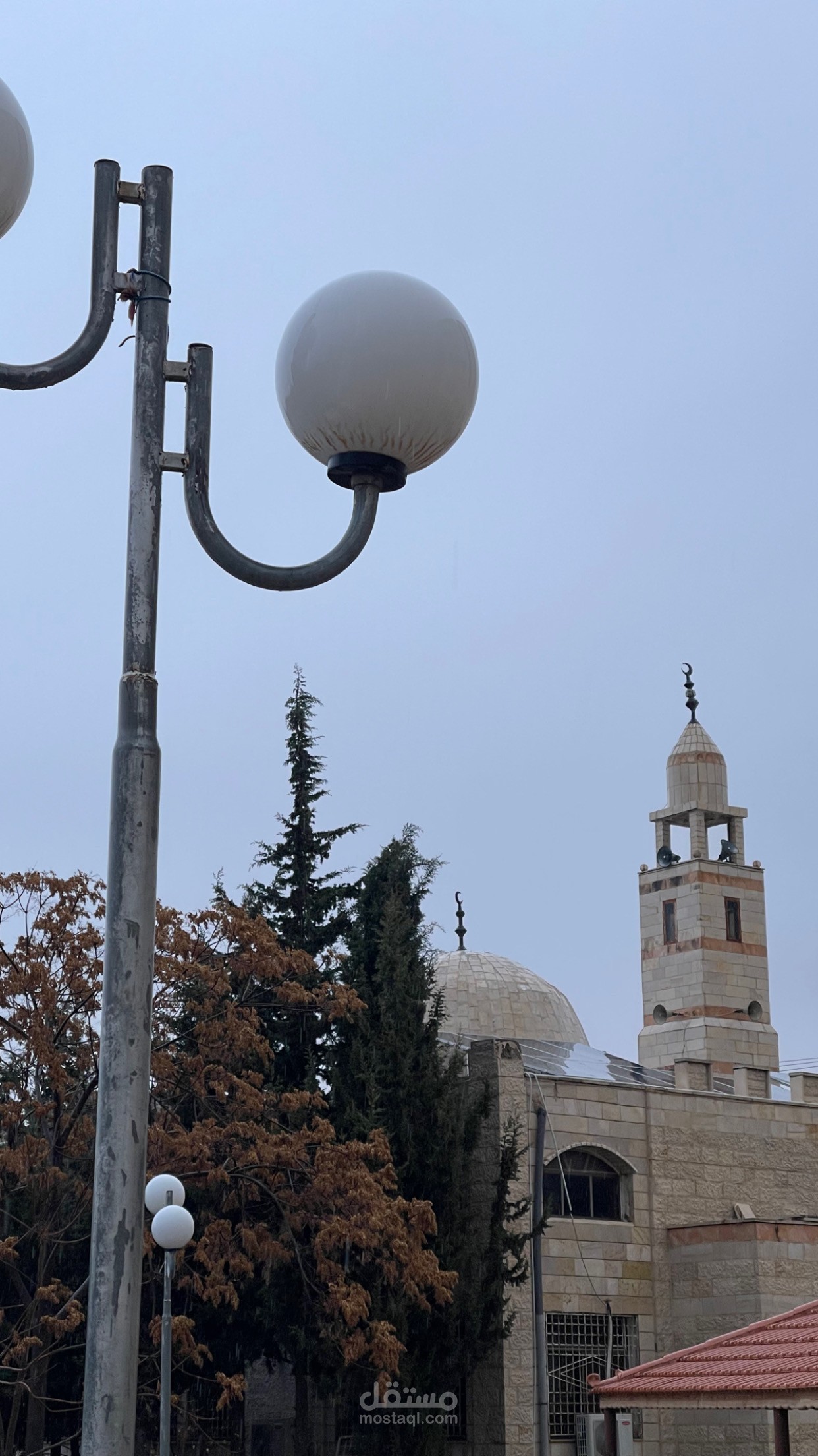 تصوير