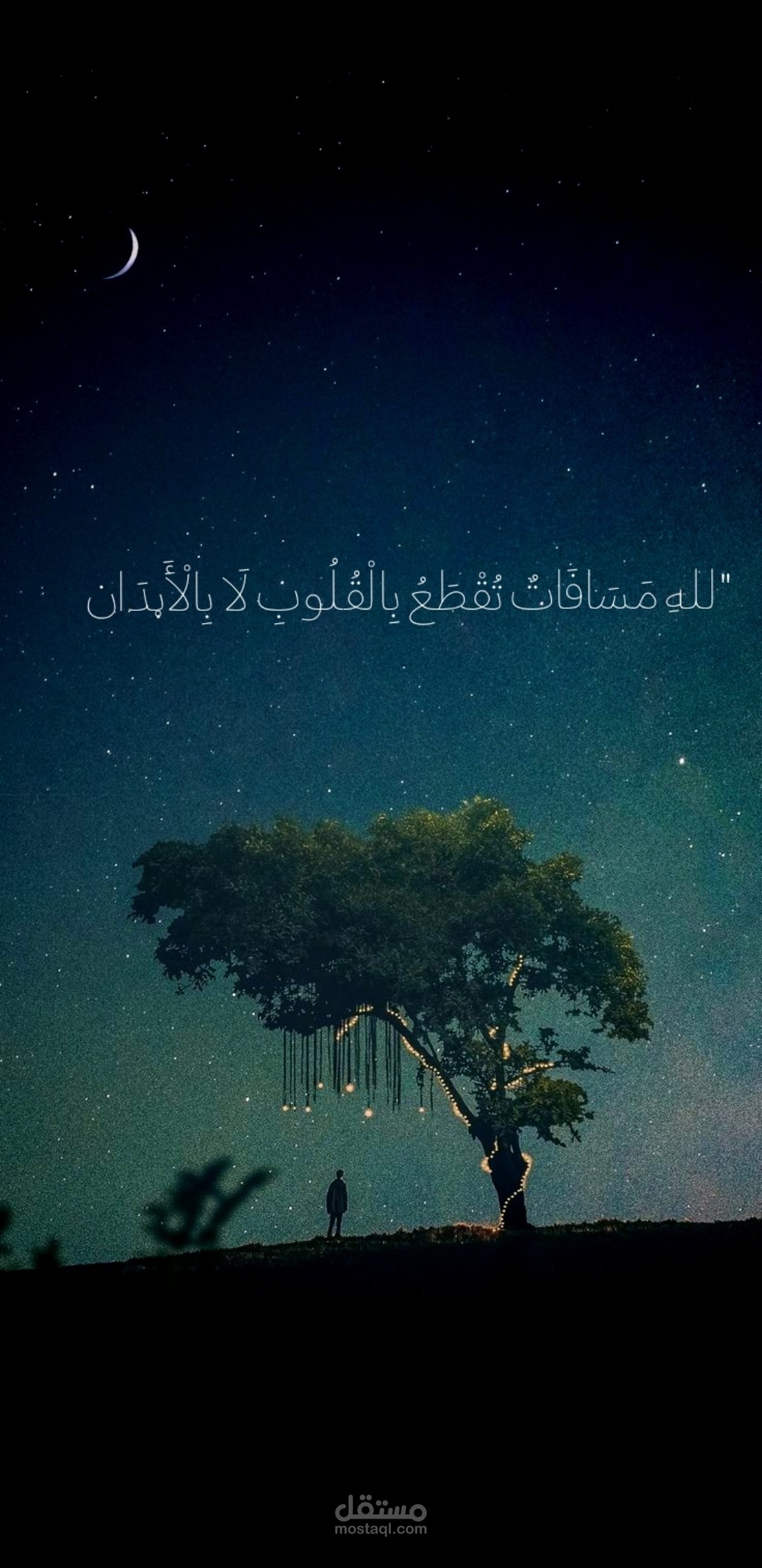 فيديو لقناة تيك توك