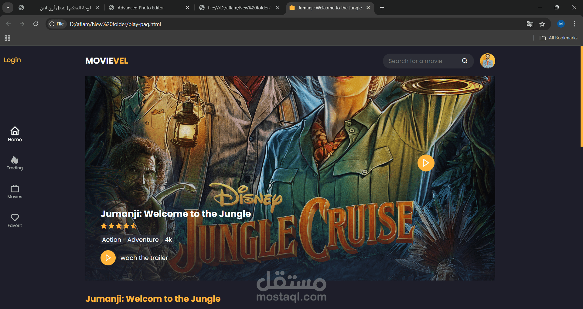 Professional Film Exhibition Website