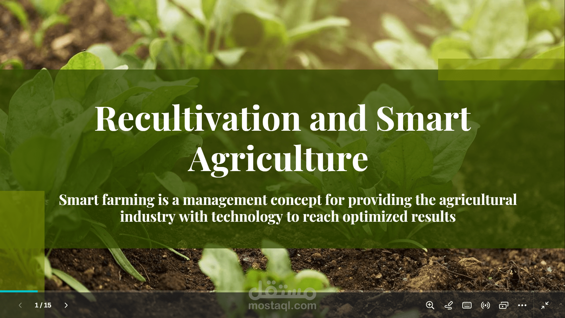 NU Competition Project