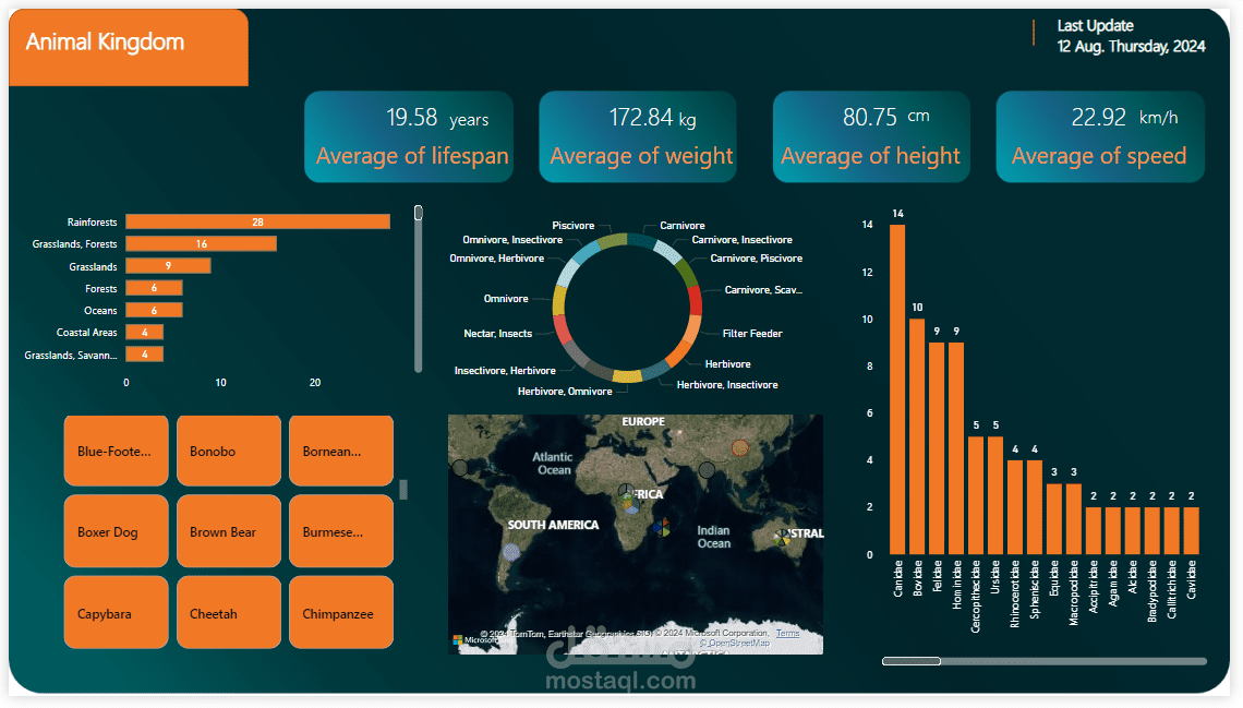 داشبورد Power BI عن مملكة الحيوان