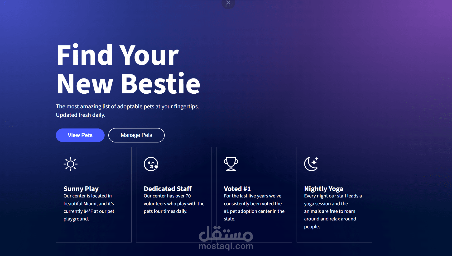 تصمیم واجھة لمنصة تبنى الحیوانات الالیفة اونلاین