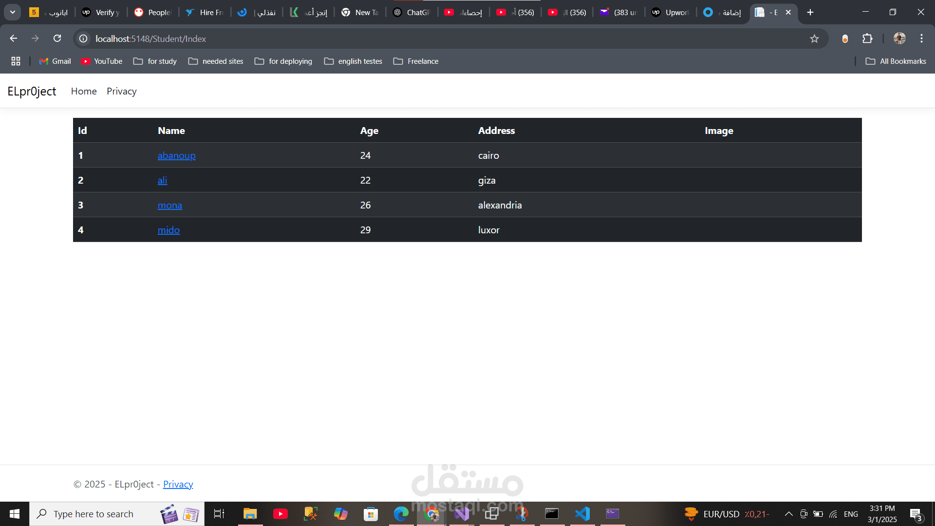 backend mvc project for  customers