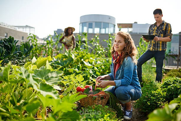 The Future of Urban Farming: Revolutionizing City Spaces