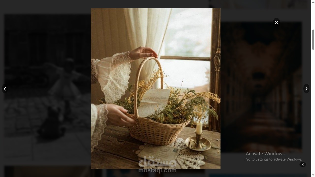 معرض صور