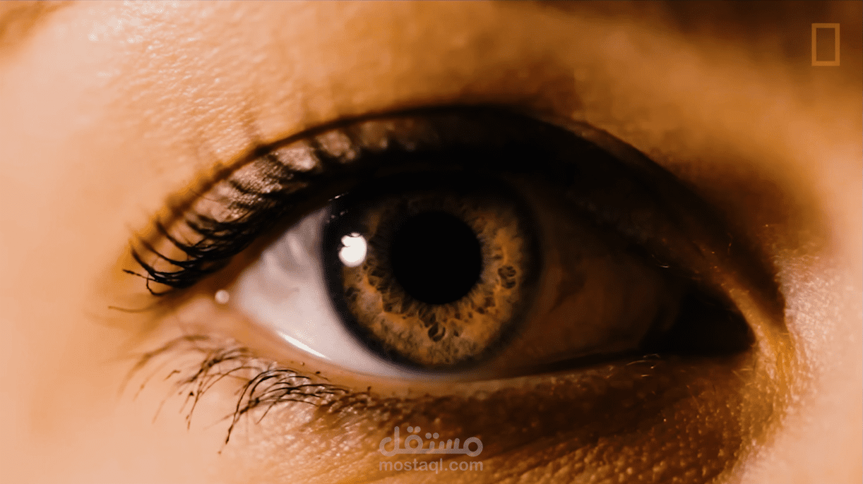 تحويل ملف صوتي إلى فيديو احترافي