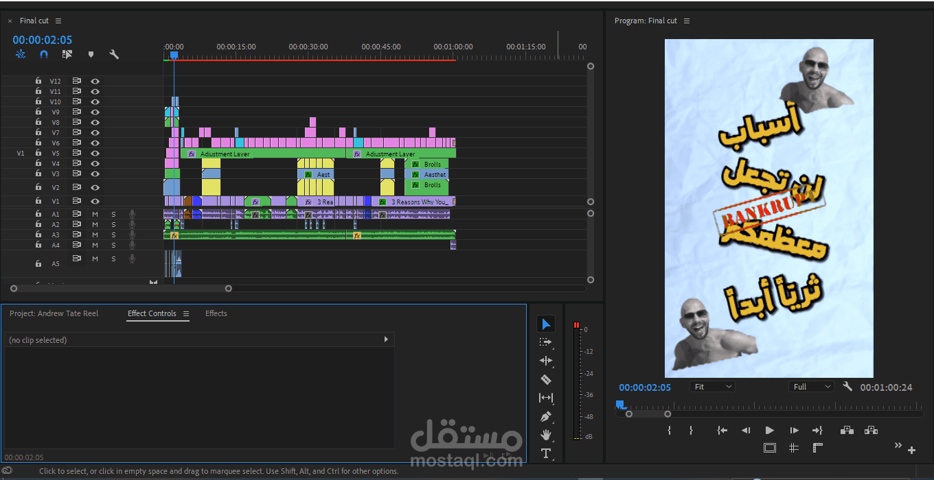 Short / Reel / آندرو تيت