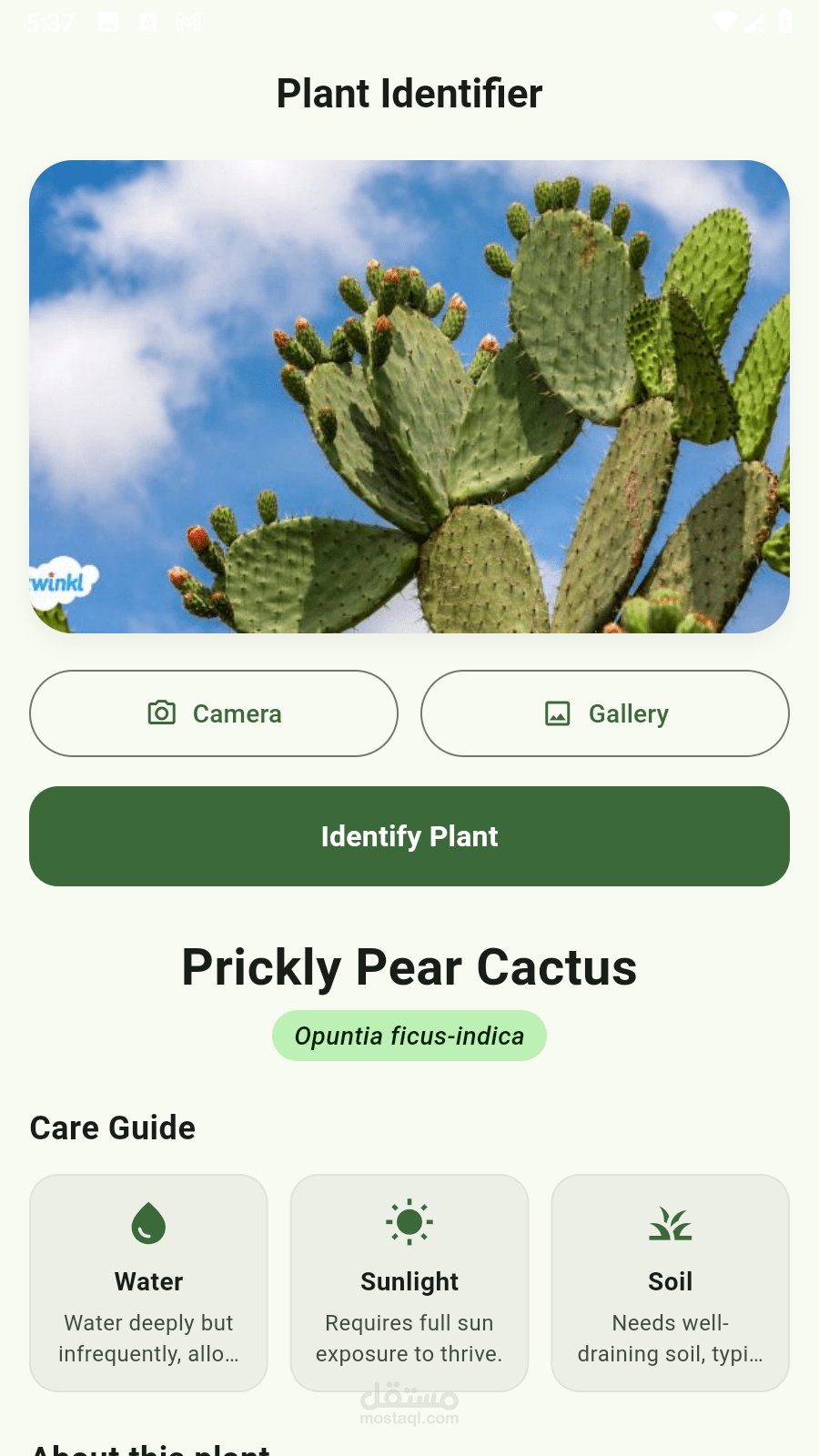 Plant Identifier — تطبيق التعرف على النباتات بالذكاء الاصطناعي