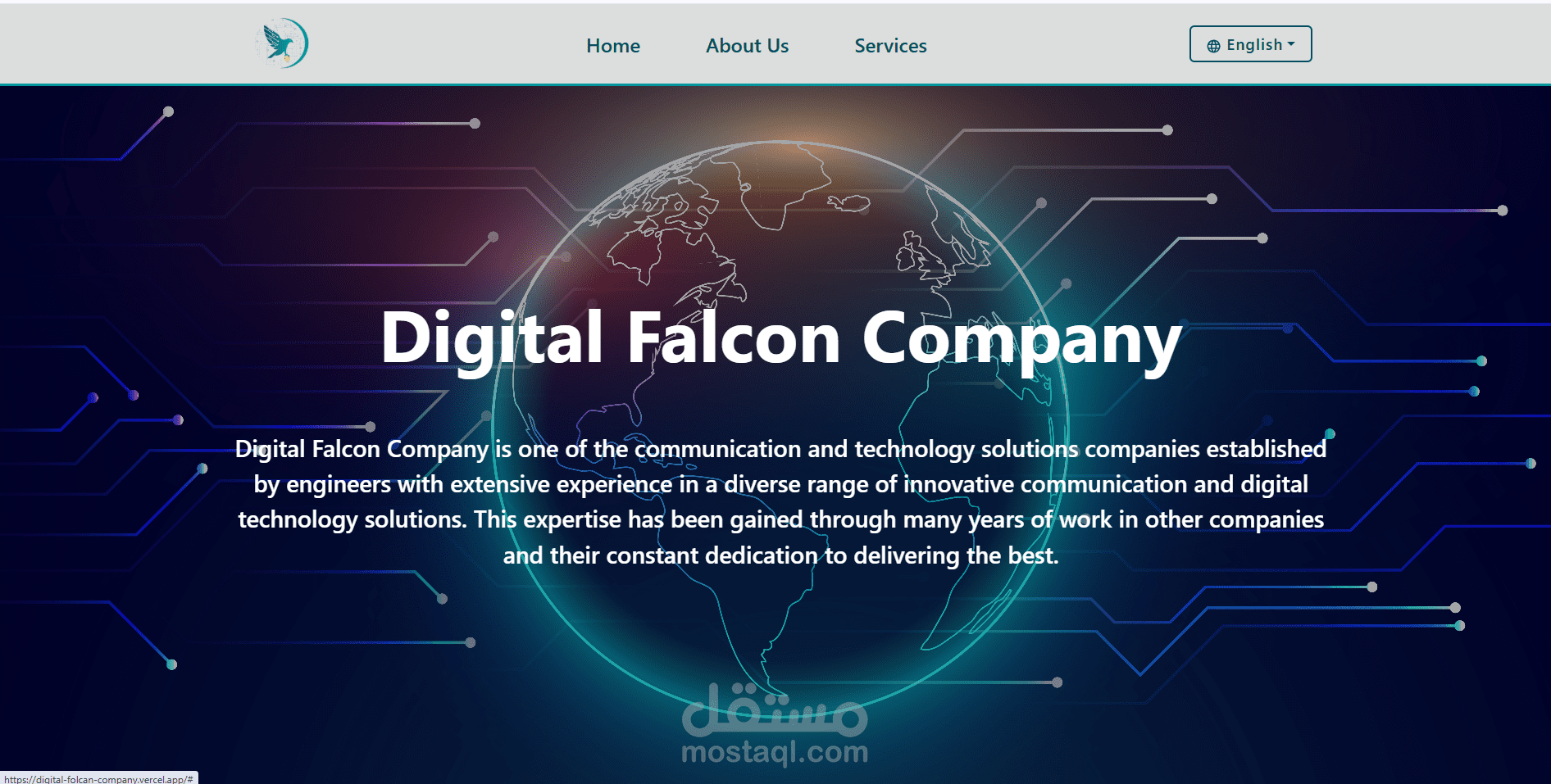 Digital Falcon Company | Landing page for the company