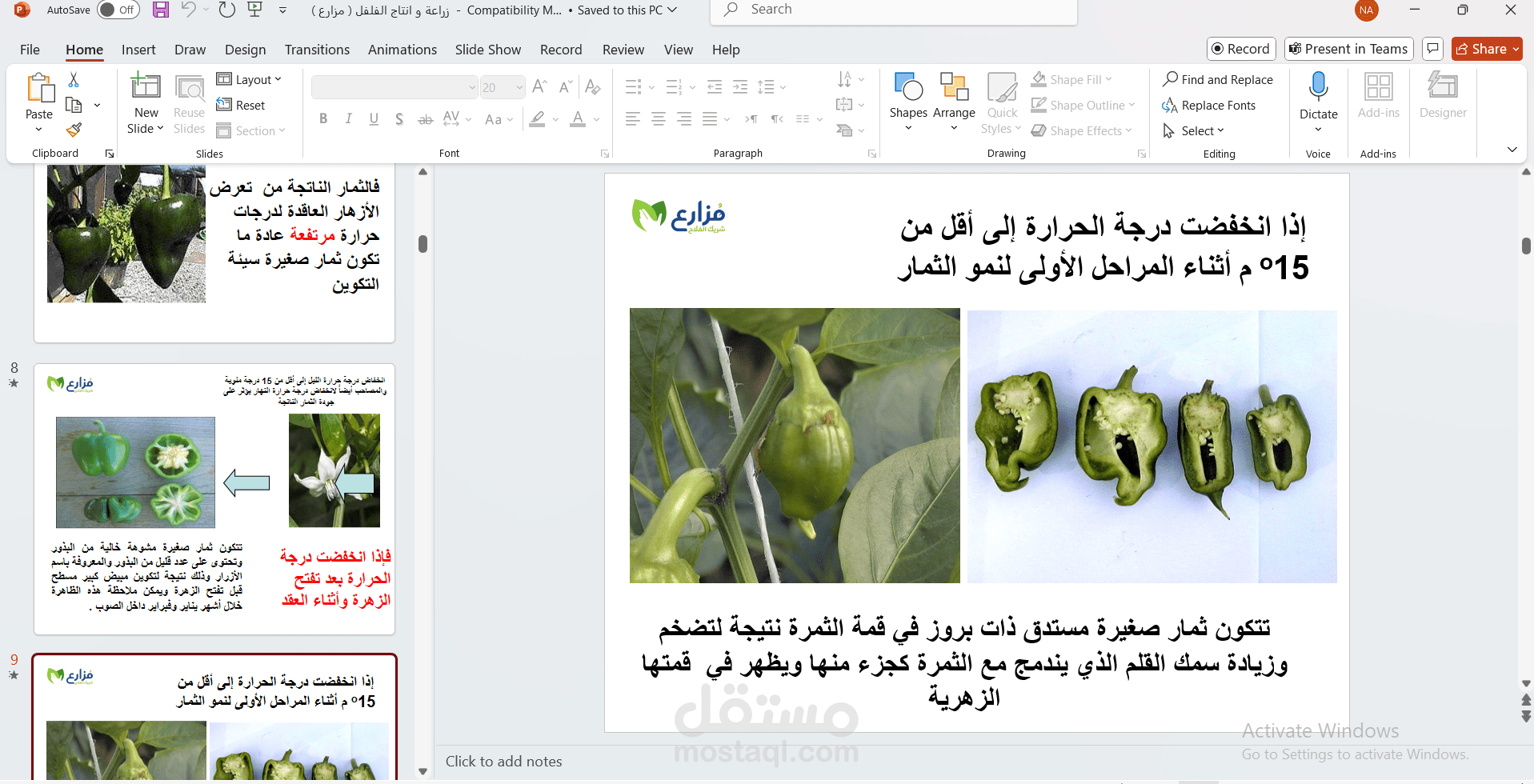 عمل تقارير باوربوينت