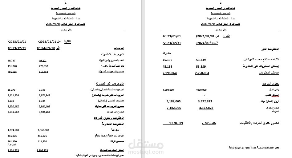 قائمة مركز مالي ربع سنوية للمساهمين