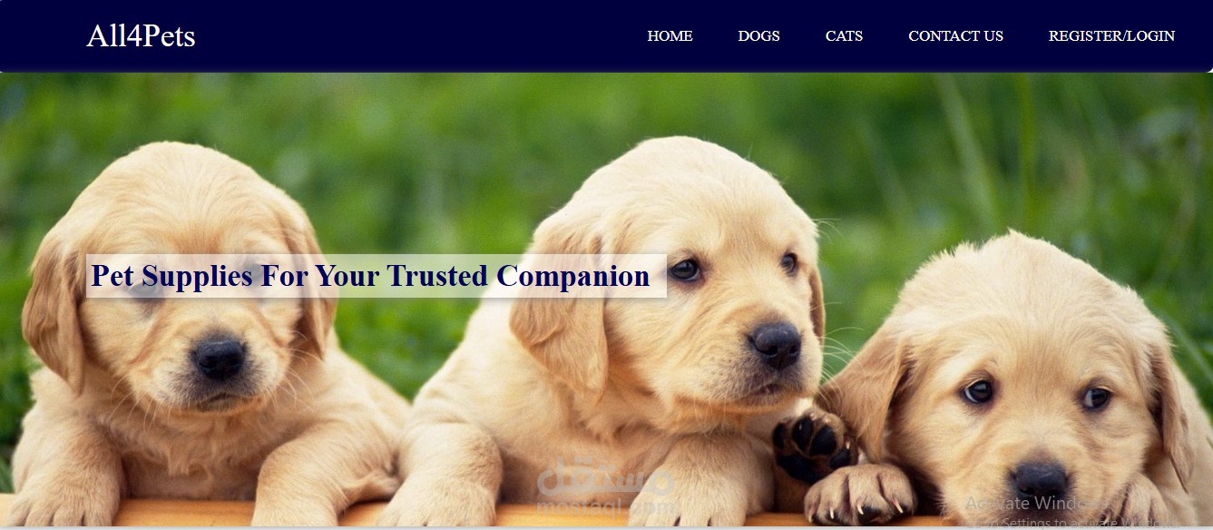 All4Pets، يقدم لك تجربة تسوق سهلة وآمنة، مع ضمان توفير المنتجات الأفضل لحيوانك الأليف في أي وقت ومن أي مكان!