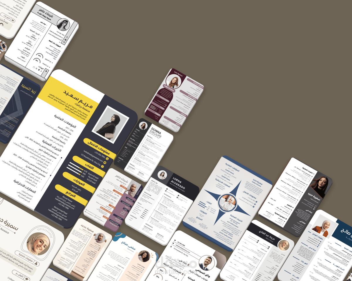 Professional Resume (CV)