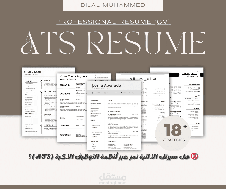 Professional ATS Resume (CV)