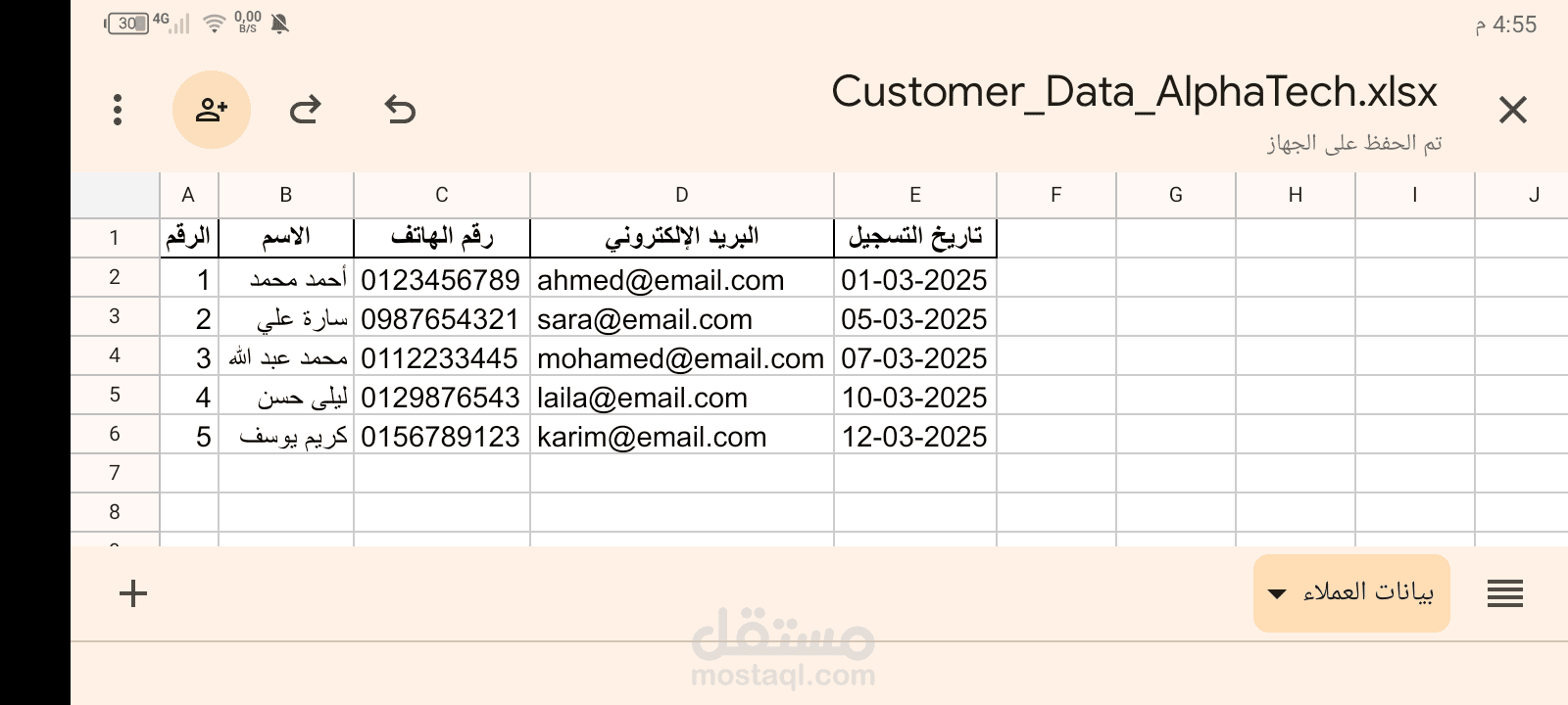 تنظيم بيانات عملاء شركة AlphaTech solutions