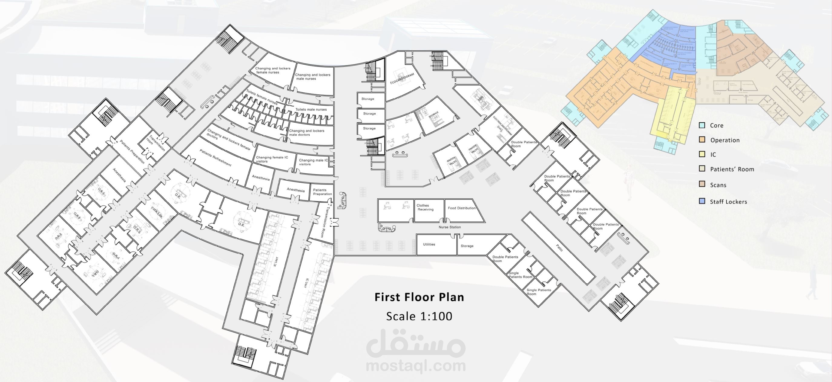 (2d plans and 3d renders)Hospital Design