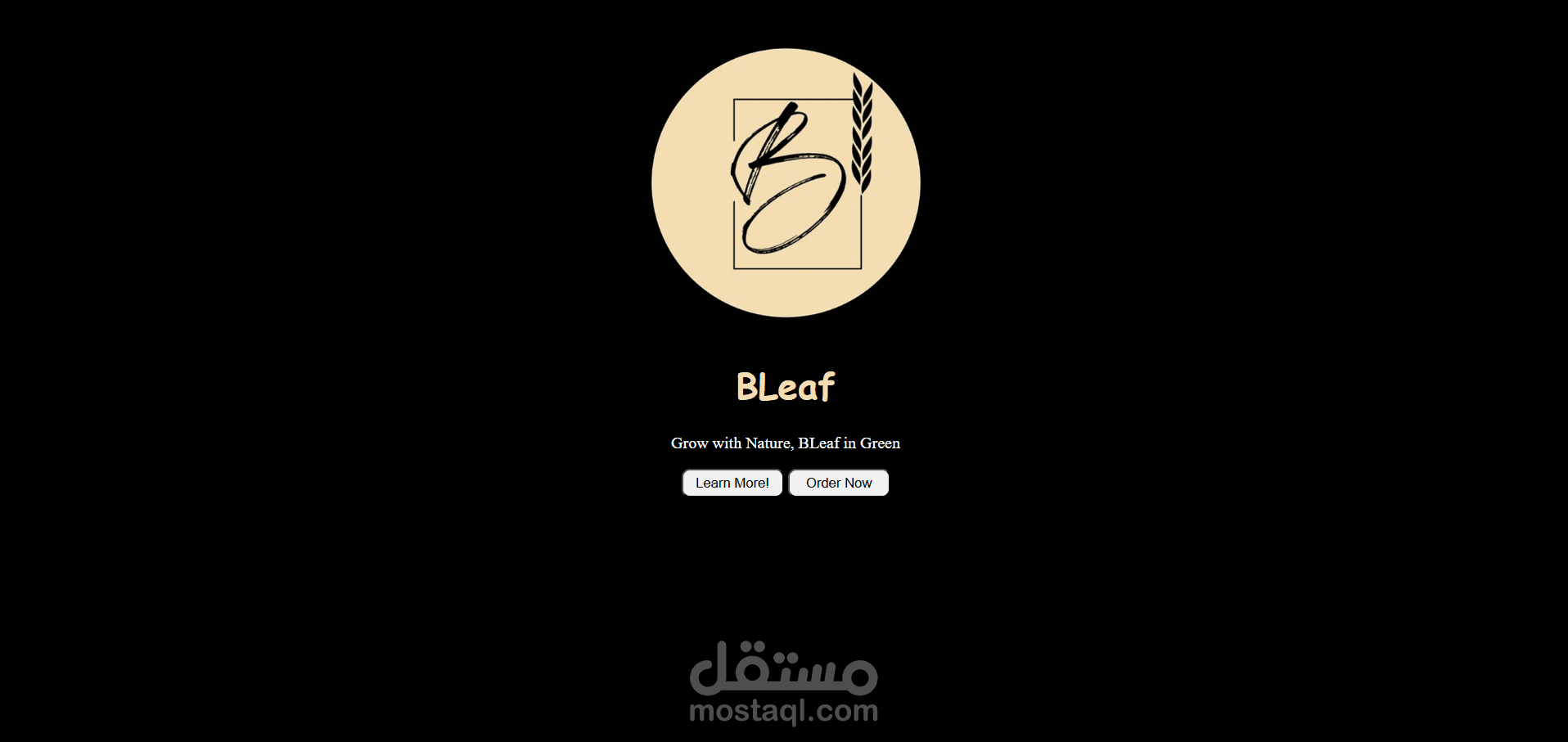 تطوير واجهات المستخدم وتصميم مواقع الويب