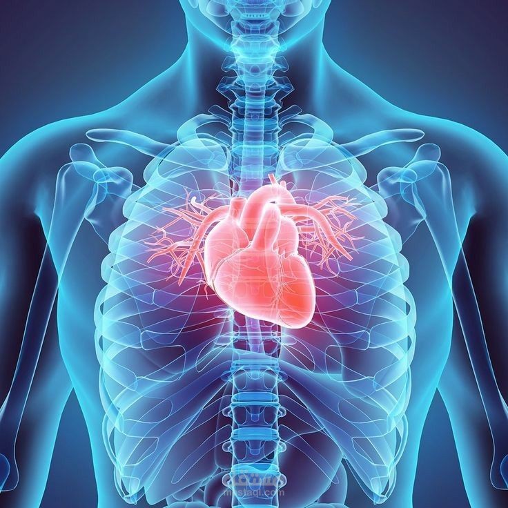 التنبؤ بأمراض القلب (Heart Disease Prediction)