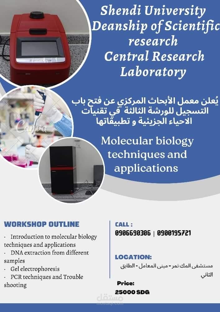 تصميم اعلانات