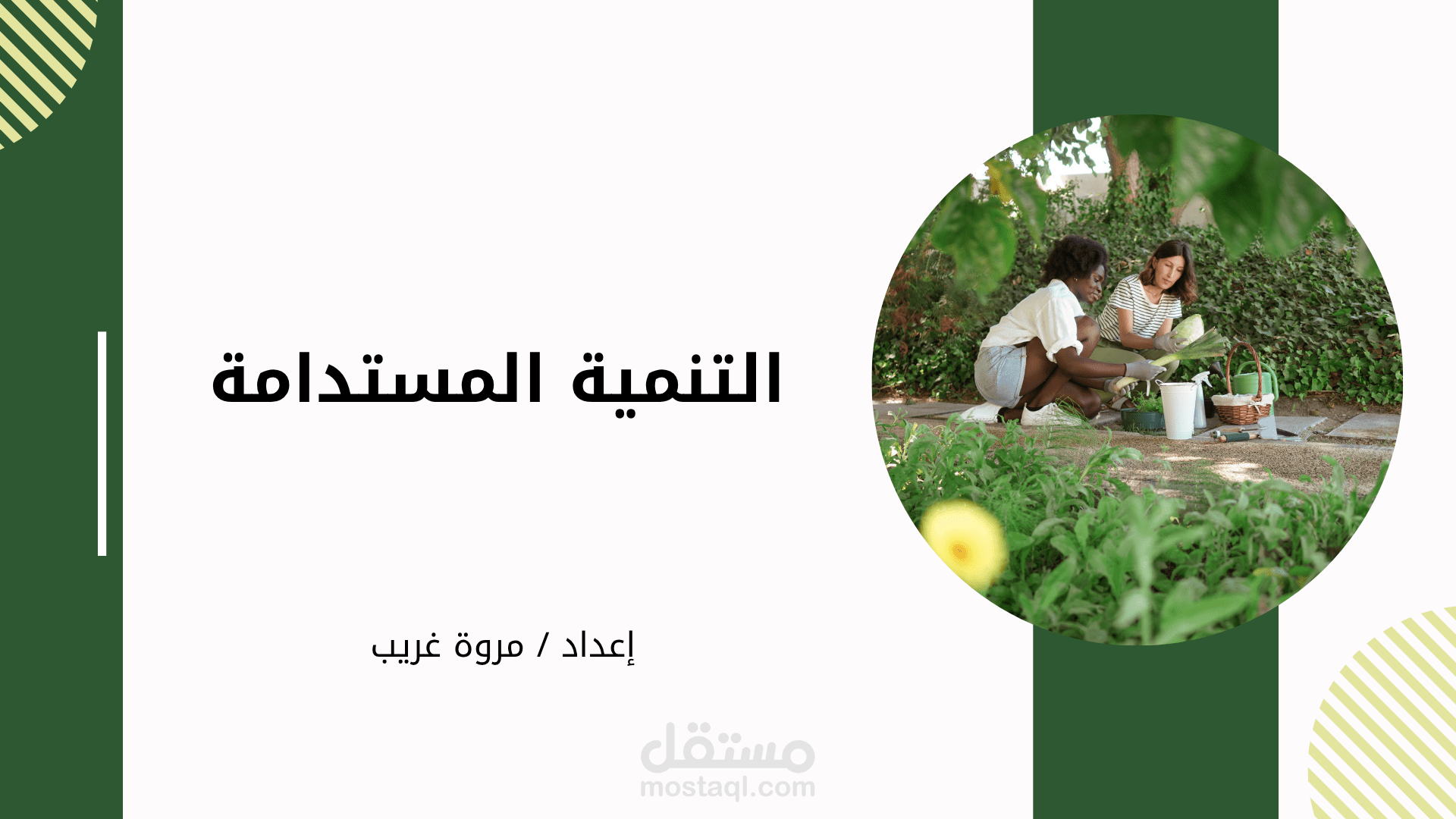 عرض تقديمي احترافي عن التنمية المستدامة – تصميم إبداعي وجذاب