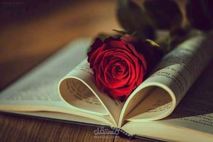 أغلفة كتب روايات ( رومانسية عاطفية ) , ( رومانسية نفسية ) ... بشكل ترويجي