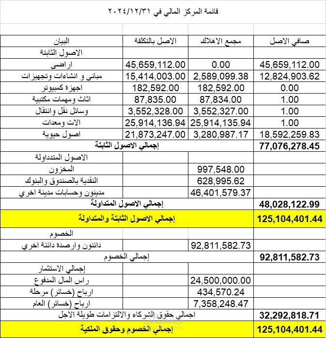 ميزانية عمومية