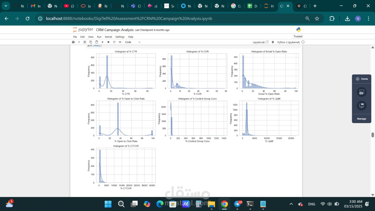 CRM Campaign Analysis