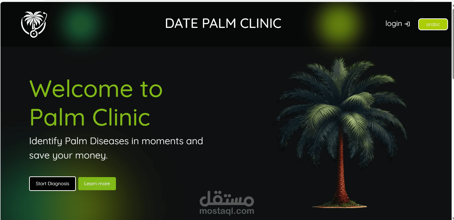 Palm Clinic