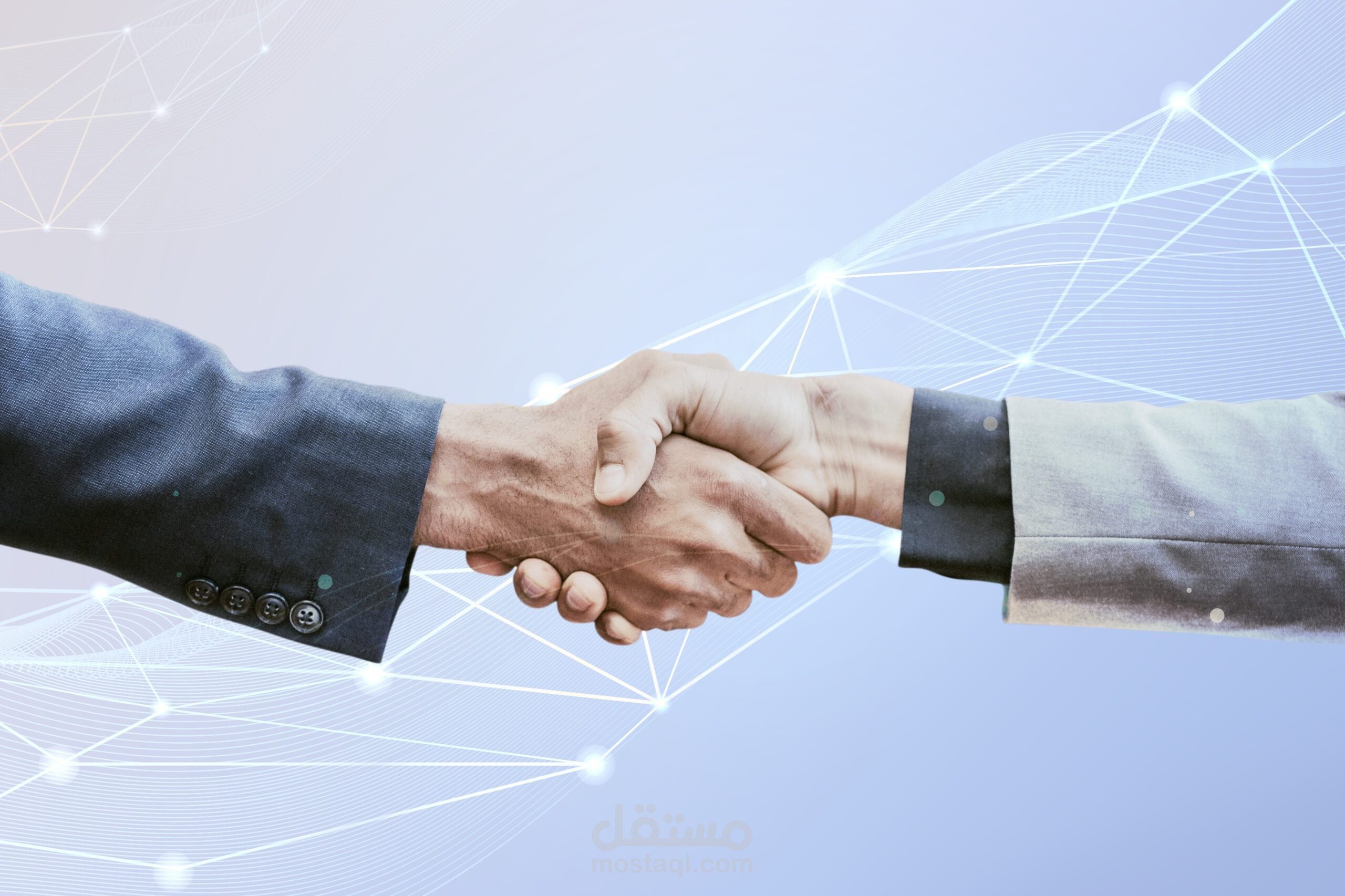 شركاء مشاريعي السابقة