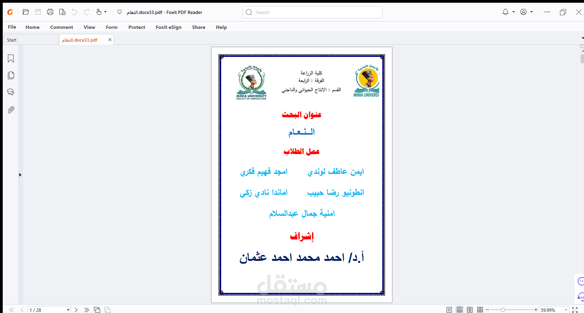 عمل power point عن النعام