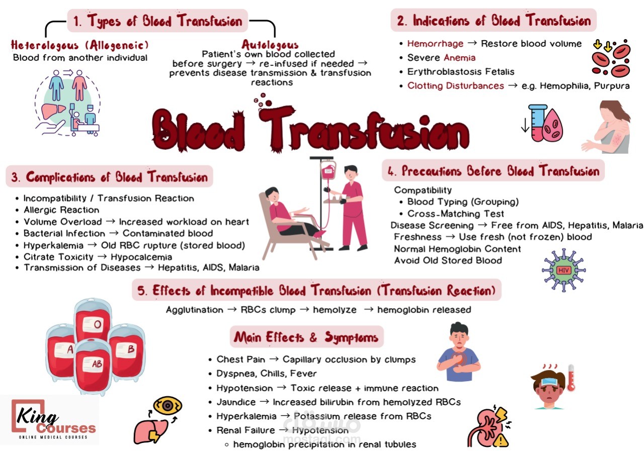 إعداد وعرض تعليمي احترافي عن "نقل الدم – Blood Transfusion"