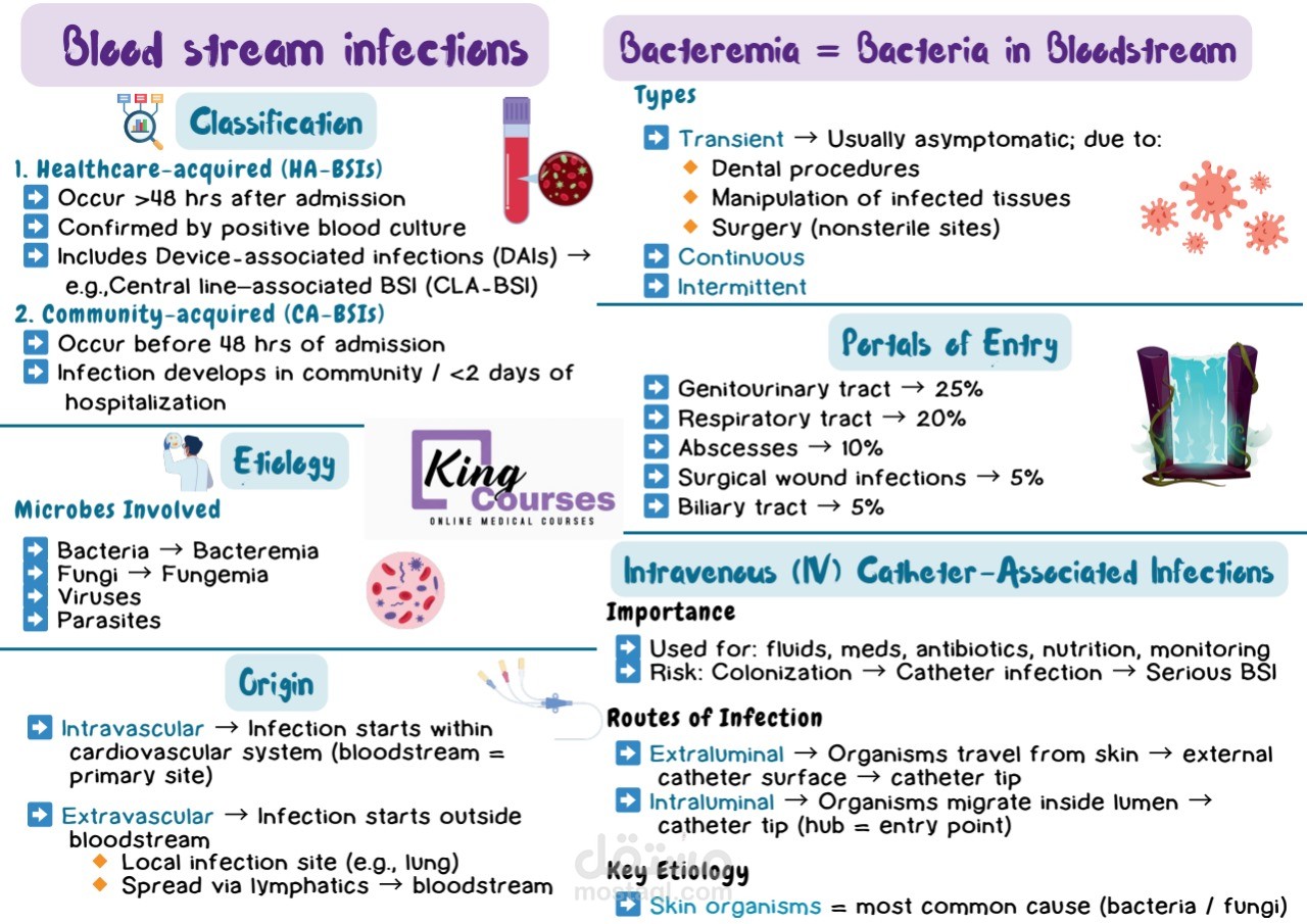 عرض تعليمي انفوجرافيك عن "عدوى مجرى الدم – Blood Stream Infections"