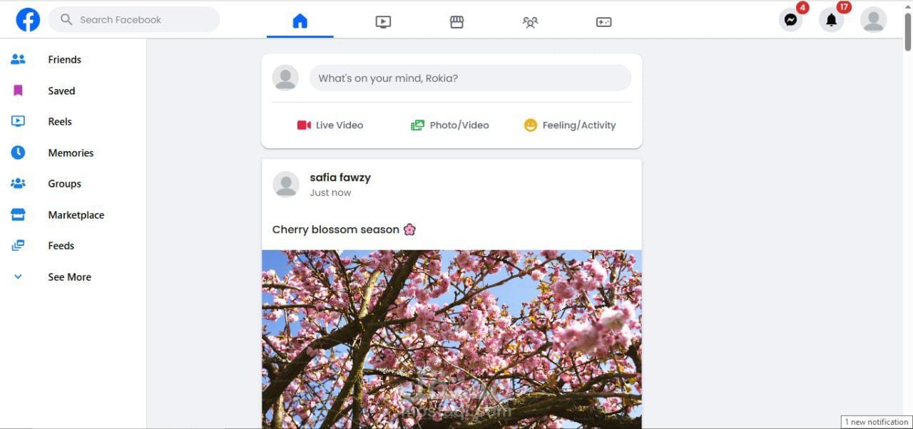 React Social Media App