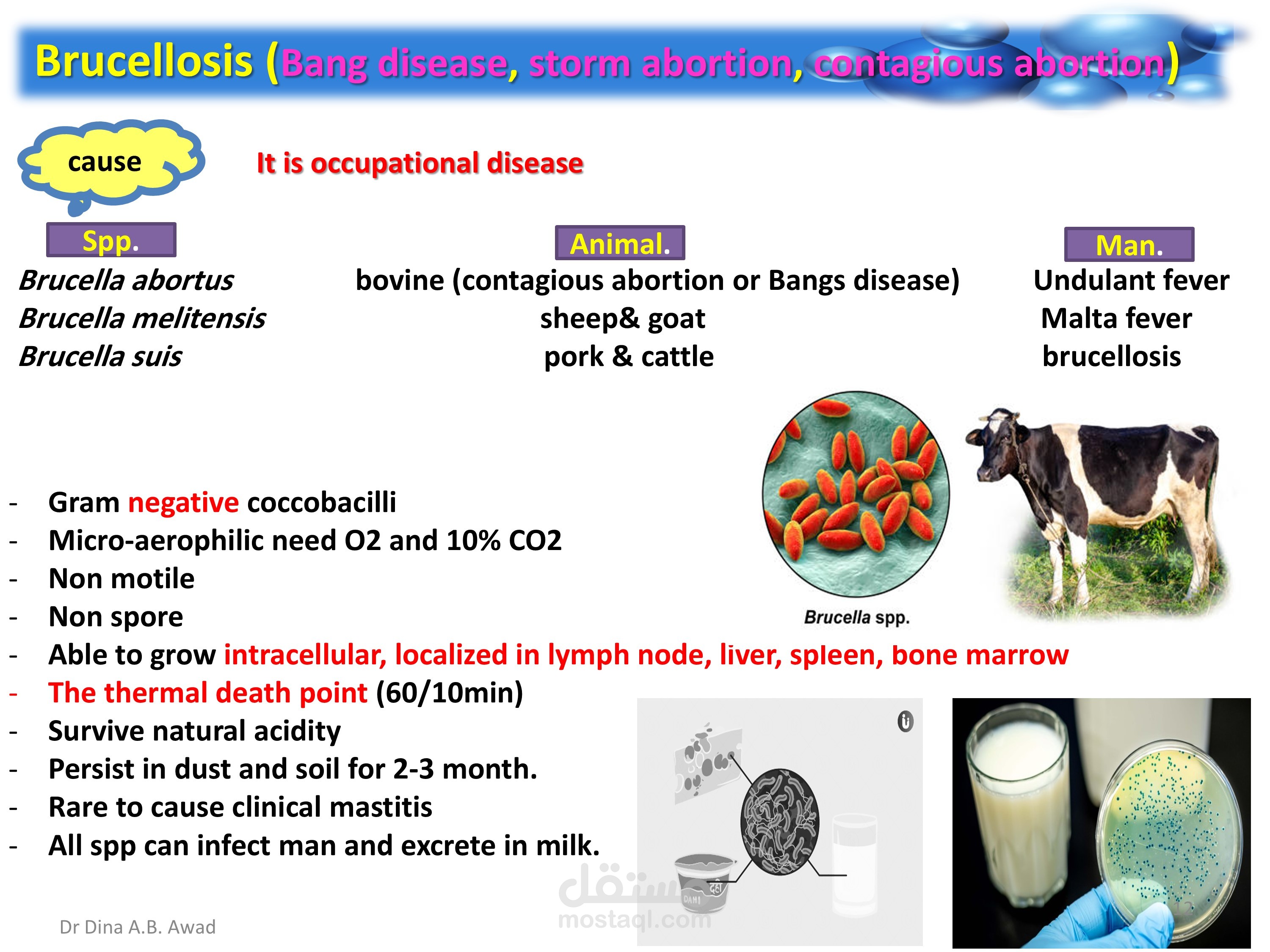 for education presentation of zoonotic diseases