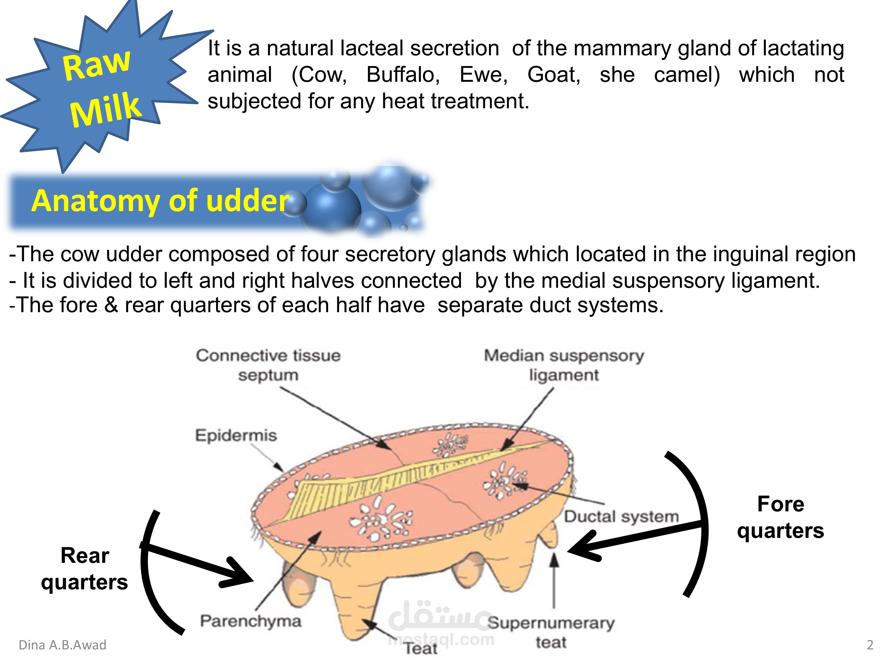 educational PowerPoint for dairy hygiene
