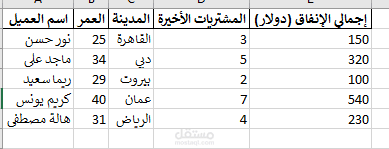 إدخال بيانات العملاء في قاعدة بيانات Excel مع تنسيق وتحليل بسيط