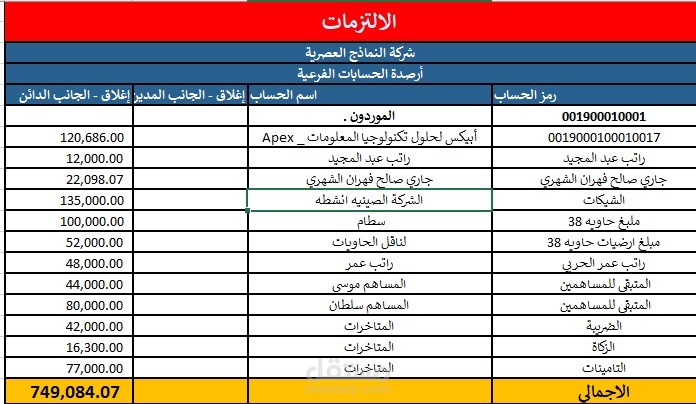 التزامات الشركة
