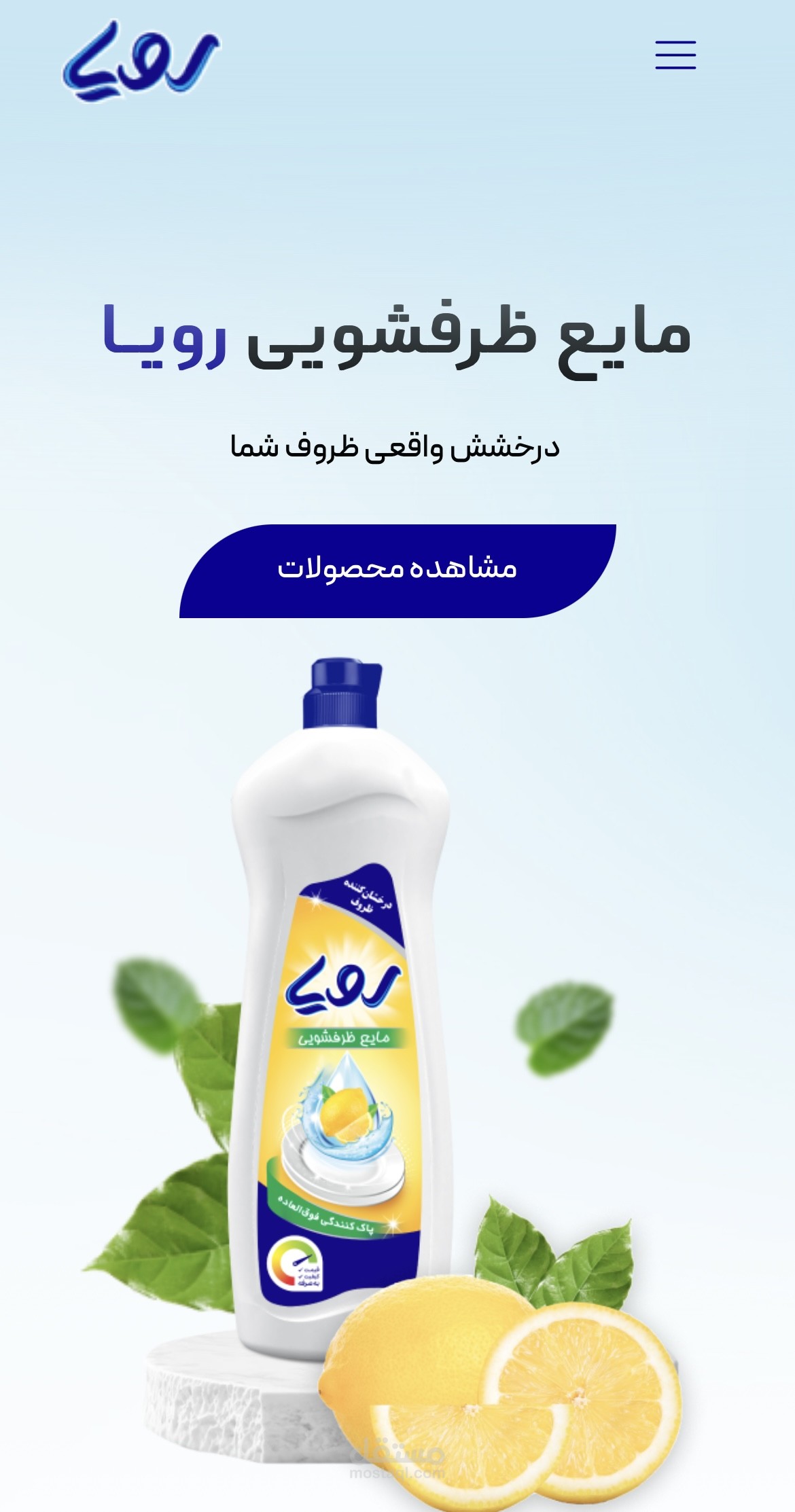 تصميم موقع شركة متعدد اللغات | Roya.co.ir