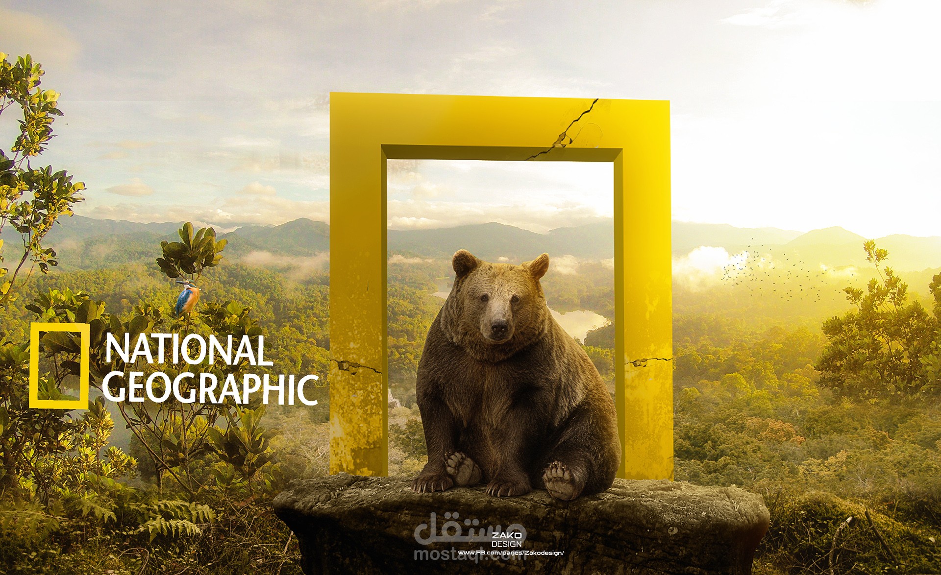 تصميم دعائي national geographic