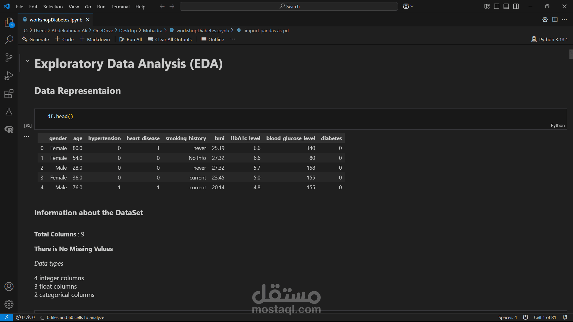 تحليل استكشافي احترافي للبيانات باستخدام Python وJupyter Notebook