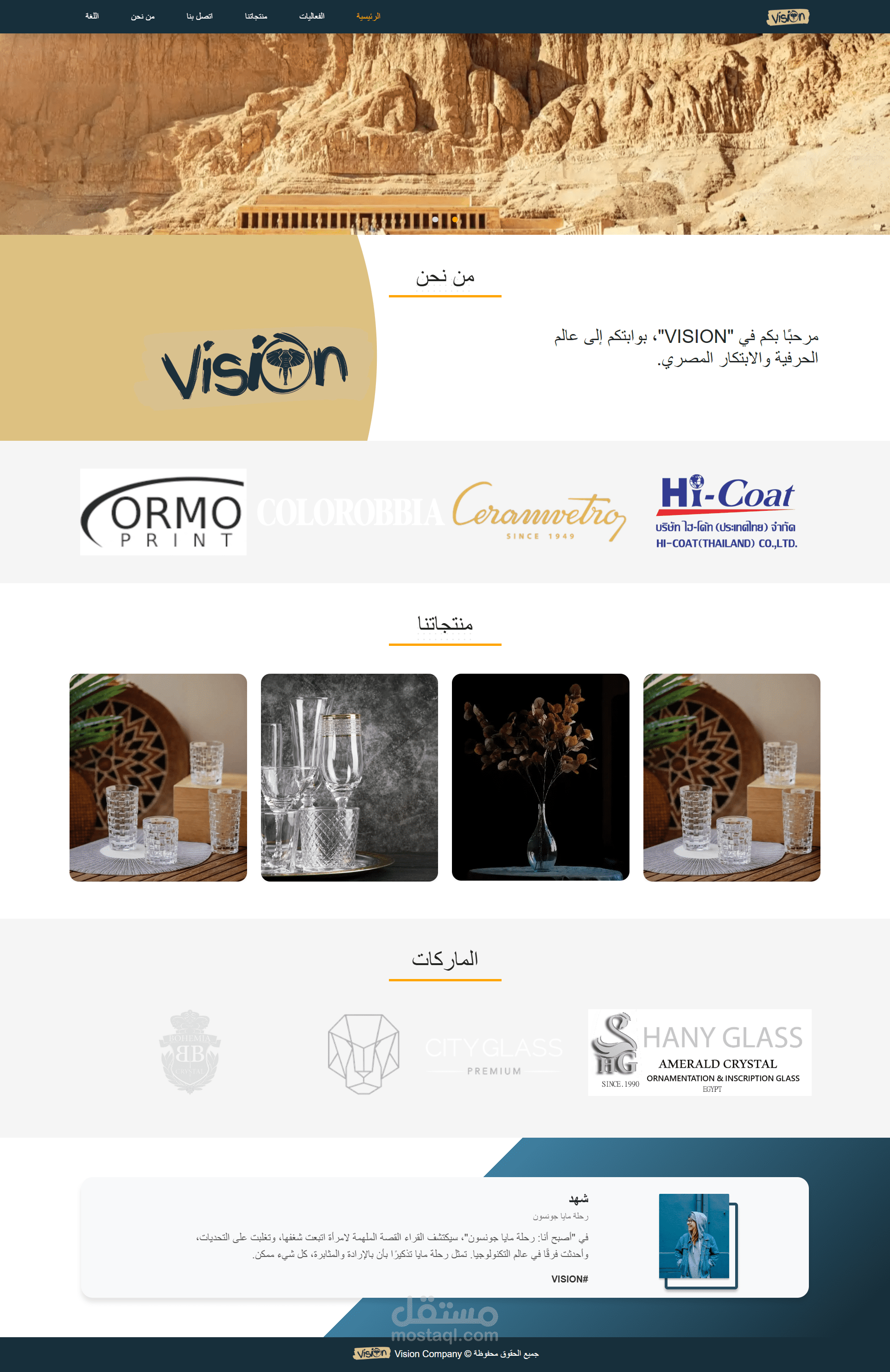 vision