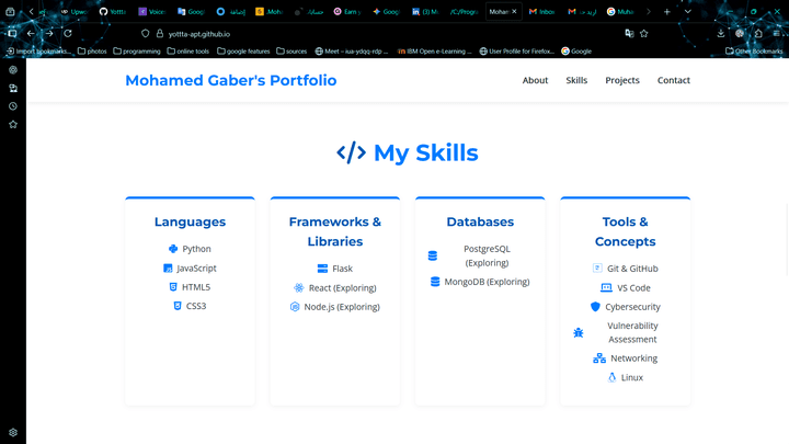 Mohamed Gaber's Portfolio