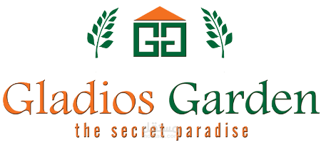 تدريب الاداره الماليه بشركة نيوتاون للتعمير على برنامج بابل للمقاولات