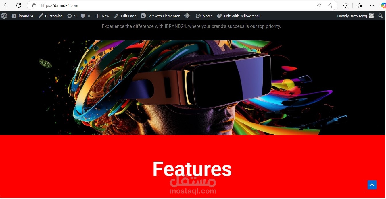 Ibrand24 web disighner