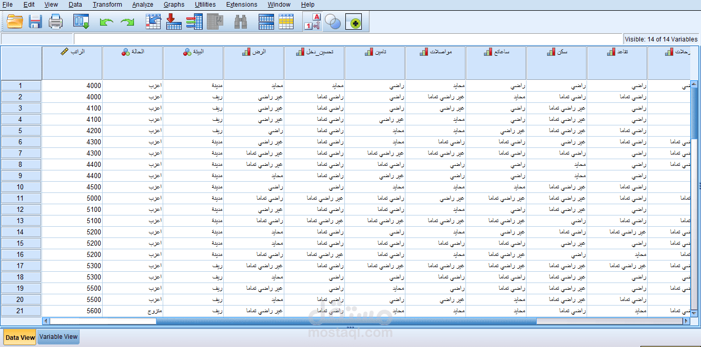 تحليل يبانات باستخدام برنامج spss