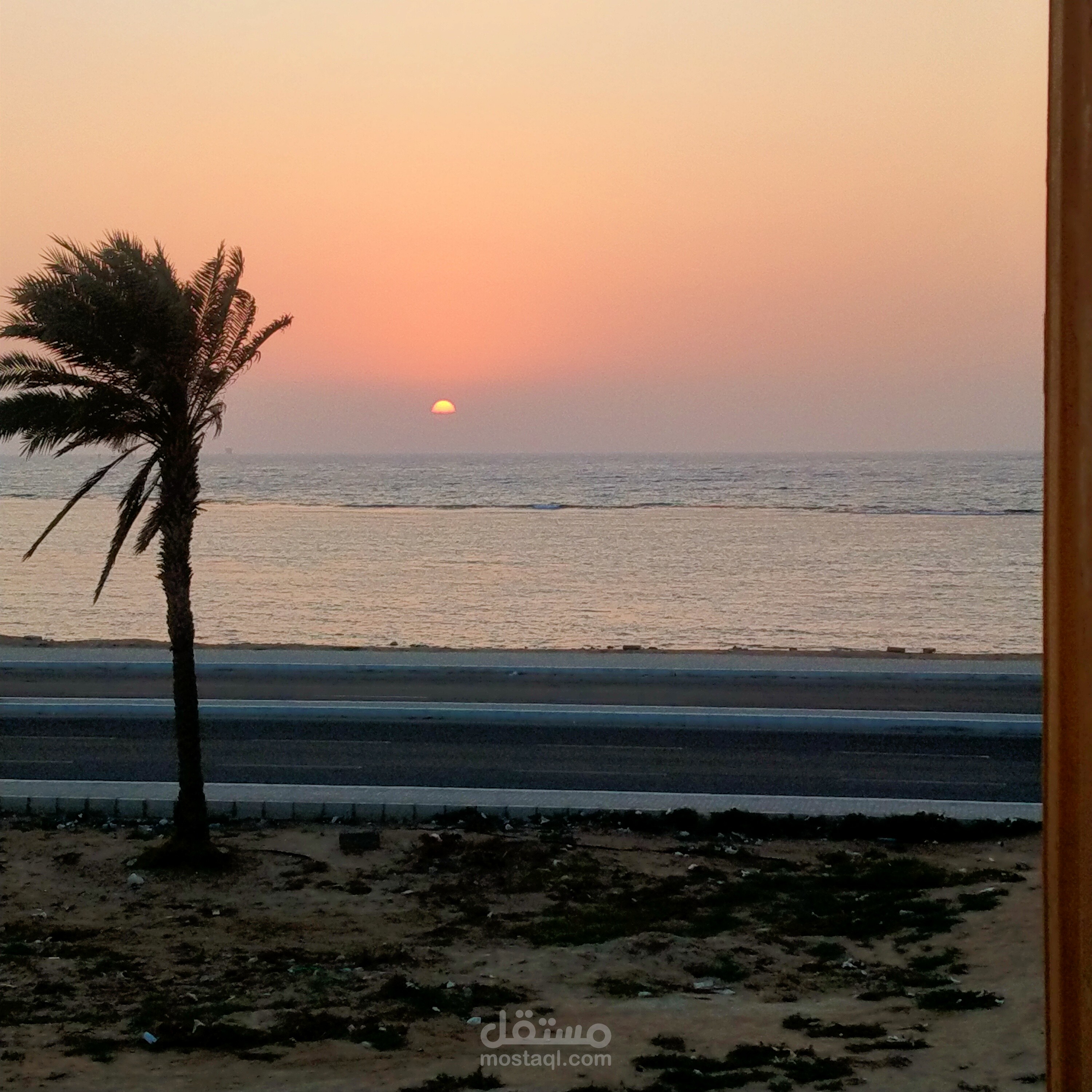 قصيدة شعر