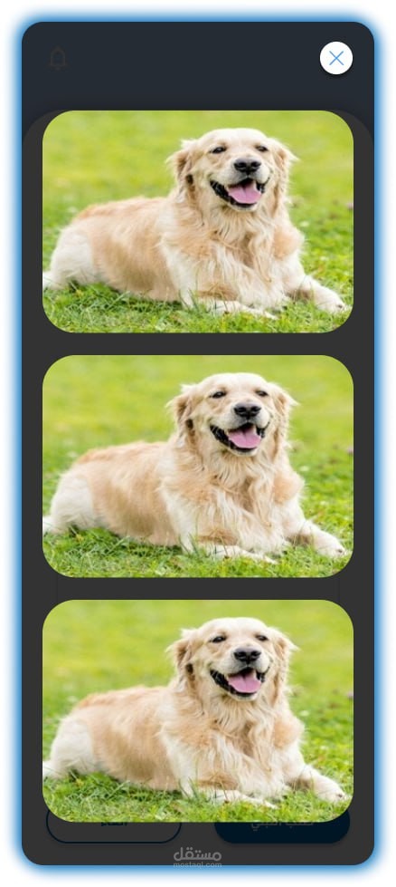 PetAdopt هو تطبيق مخصص لربط الأشخاص الراغبين في تبني الحيوانات الأليفة مع الملاجئ