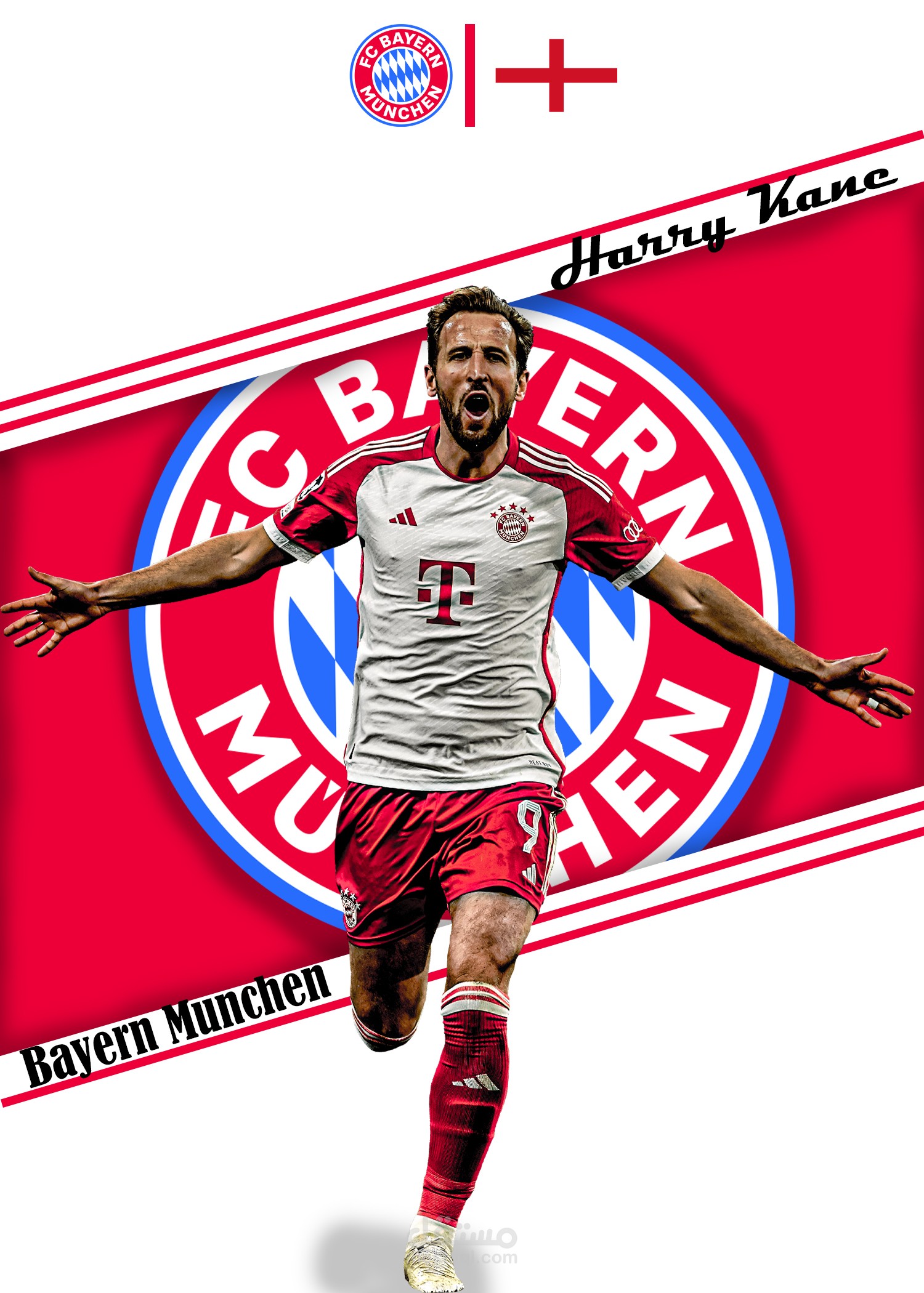 harry design